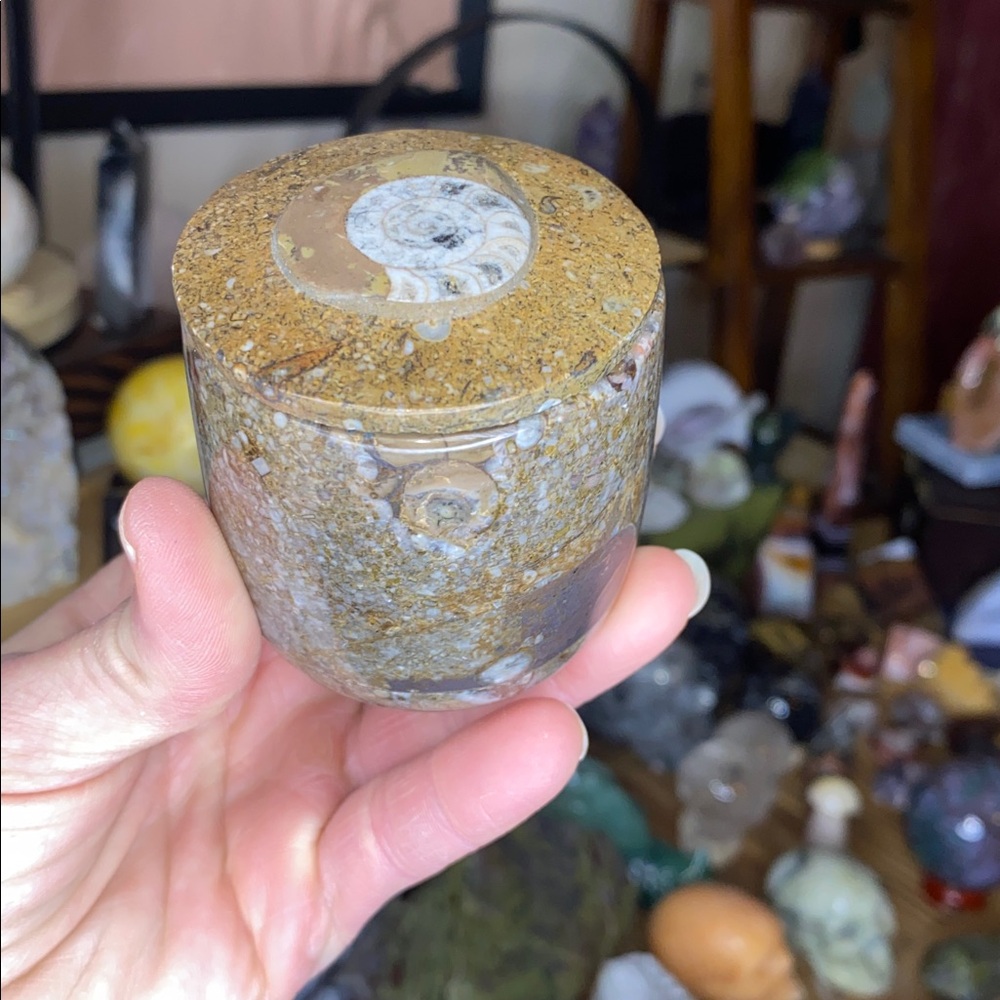 Unique Handcrafted Ammonite Fossil Jewelry/Blessing Box